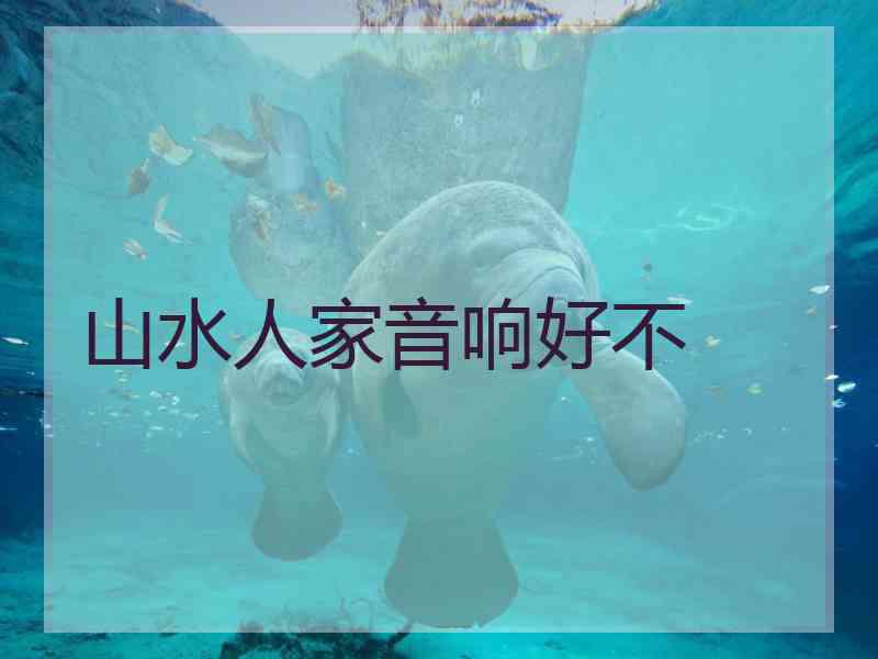 山水人家音响好不