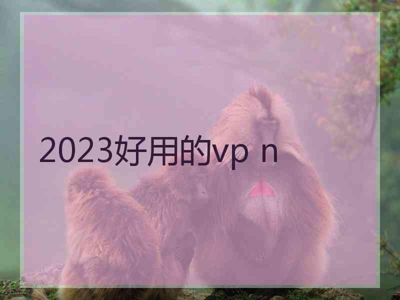 2023好用的vp n