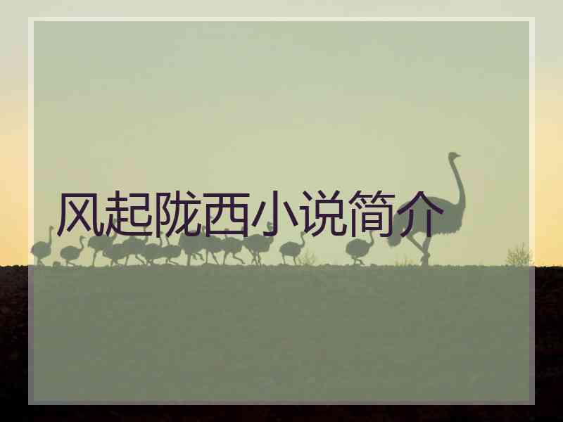 风起陇西小说简介