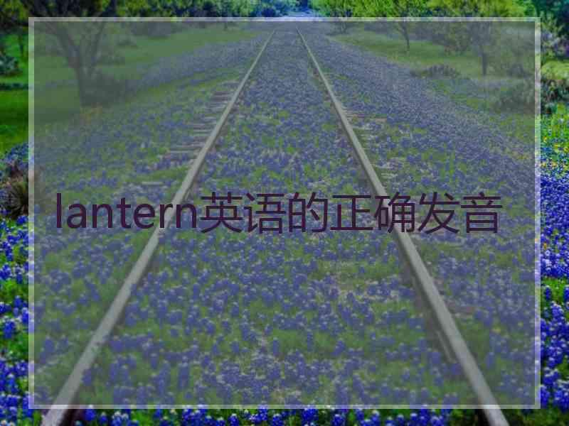 lantern英语的正确发音