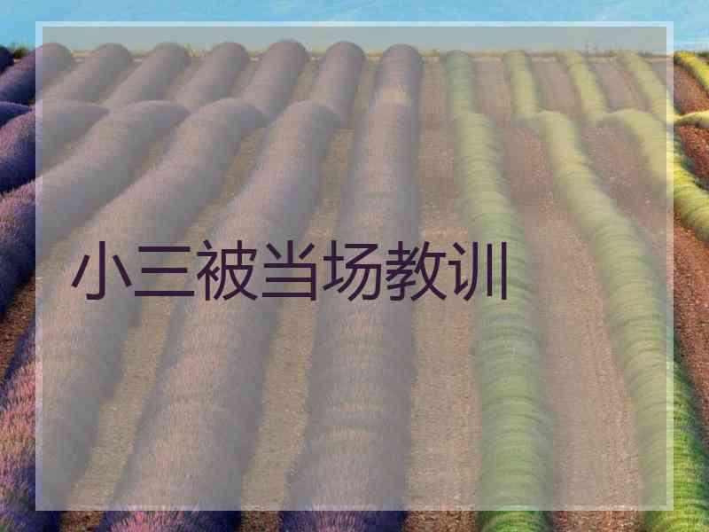 小三被当场教训