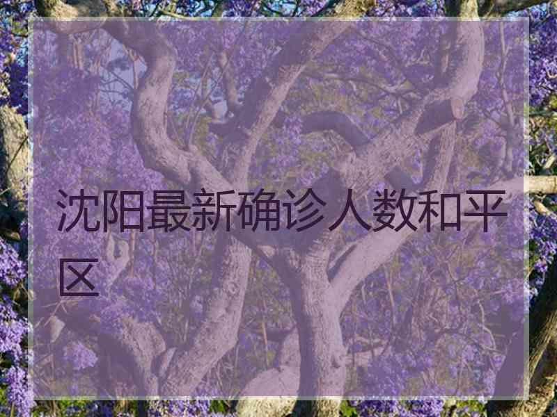 沈阳最新确诊人数和平区