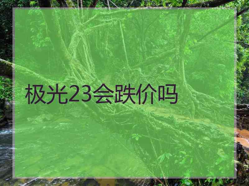 极光23会跌价吗