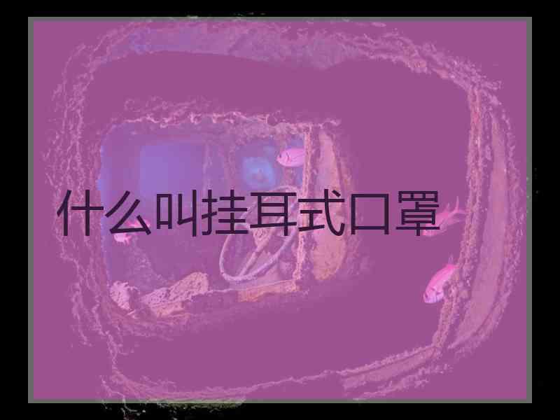 什么叫挂耳式口罩