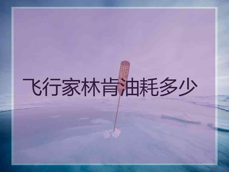 飞行家林肯油耗多少