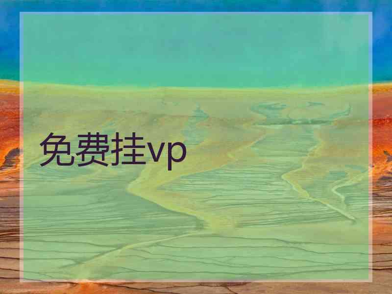 免费挂vp