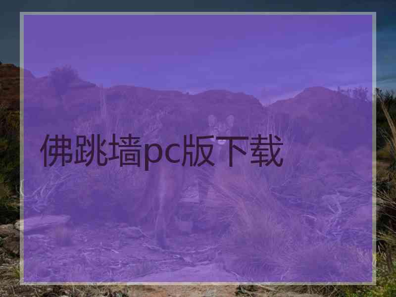 佛跳墙pc版下载