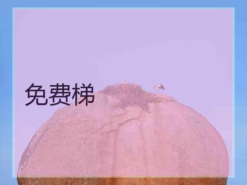 免费梯