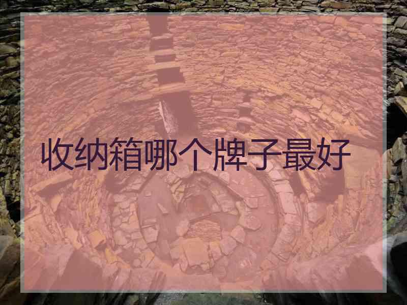 收纳箱哪个牌子最好