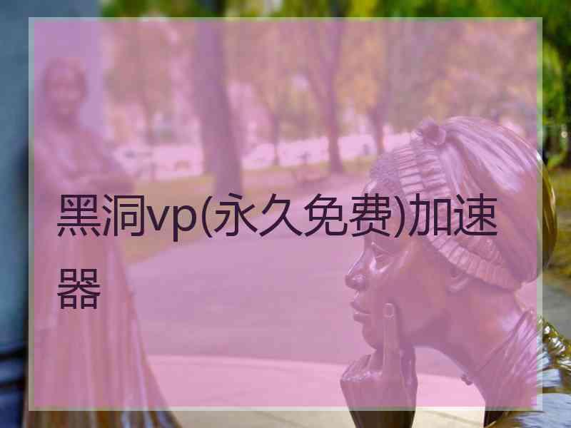 黑洞vp(永久免费)加速器