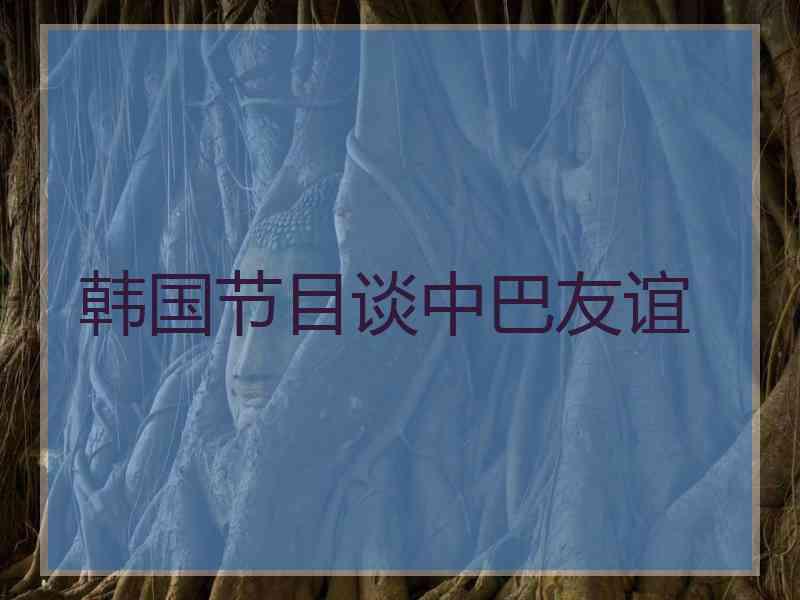 韩国节目谈中巴友谊