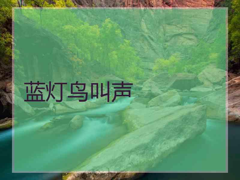 蓝灯鸟叫声
