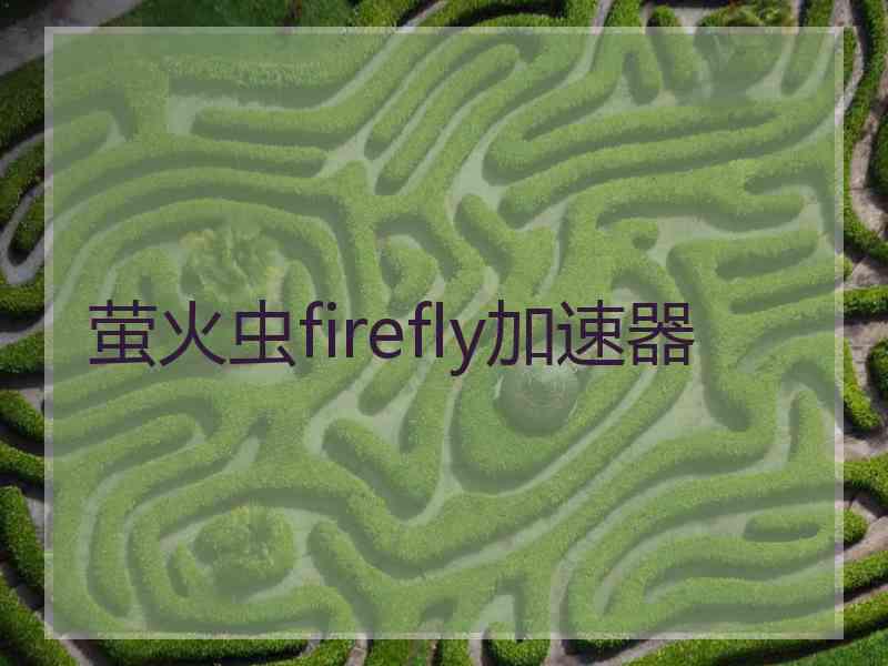 萤火虫firefly加速器