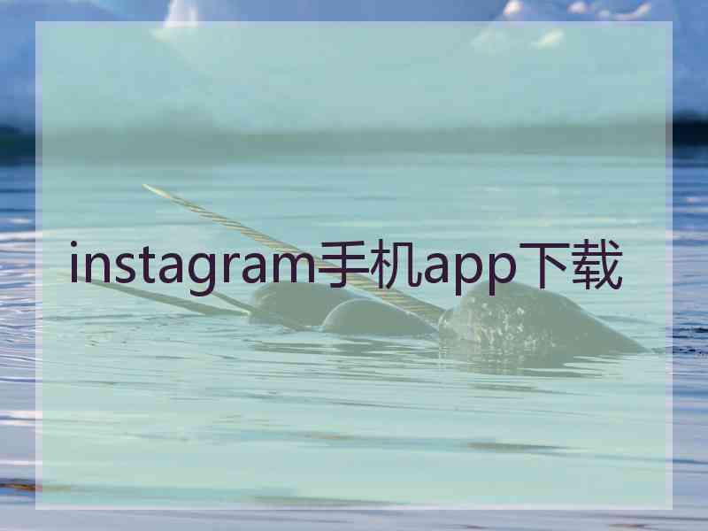 instagram手机app下载