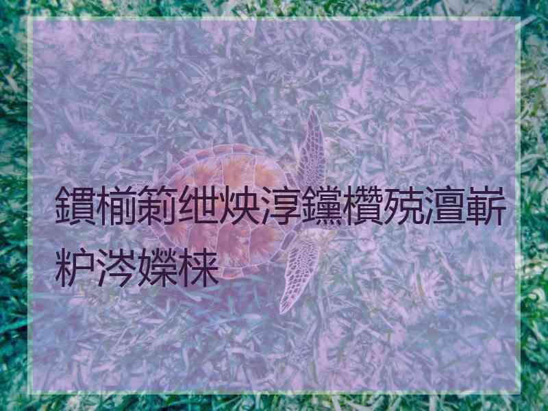 鏆椾箣绁炴淳钂欑殑澶嶄粐涔嬫梾