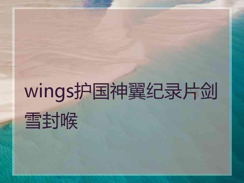 wings护国神翼纪录片剑雪封喉