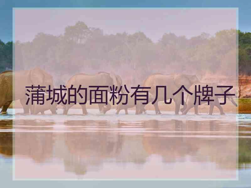 蒲城的面粉有几个牌子