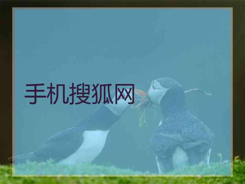 手机搜狐网