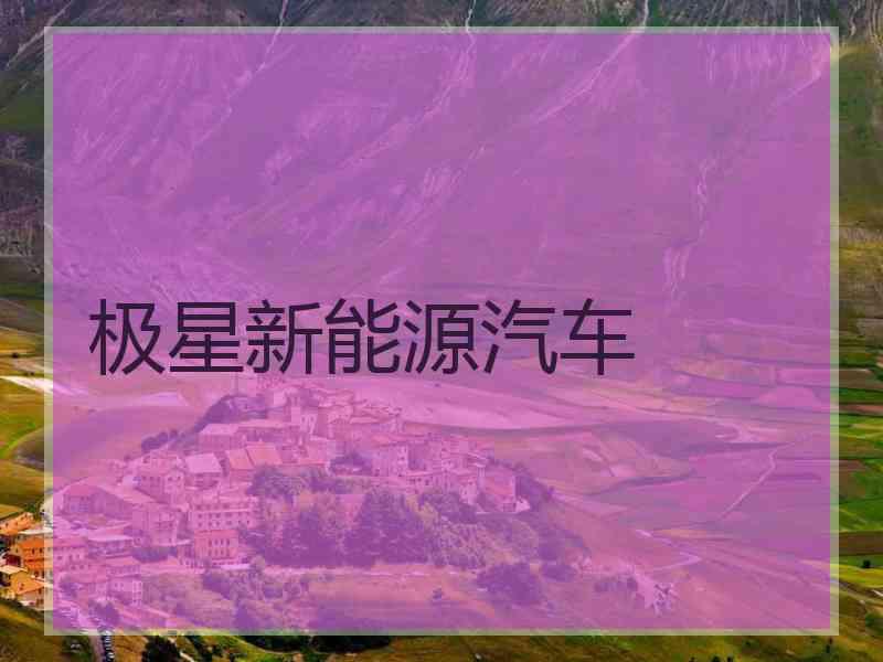极星新能源汽车