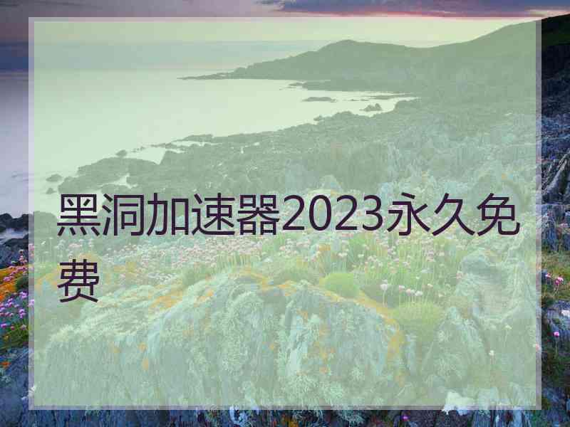 黑洞加速器2023永久免费