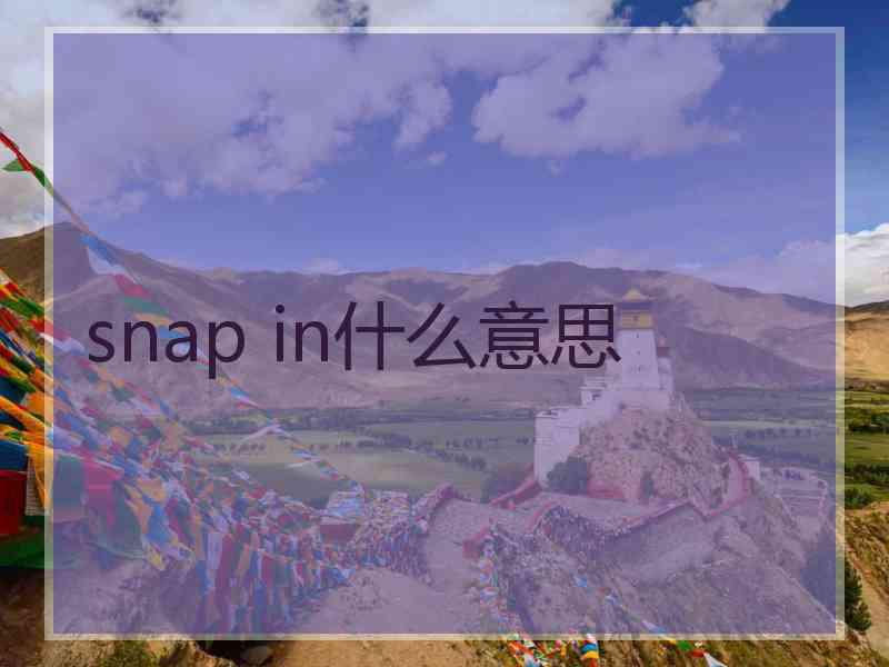 snap in什么意思