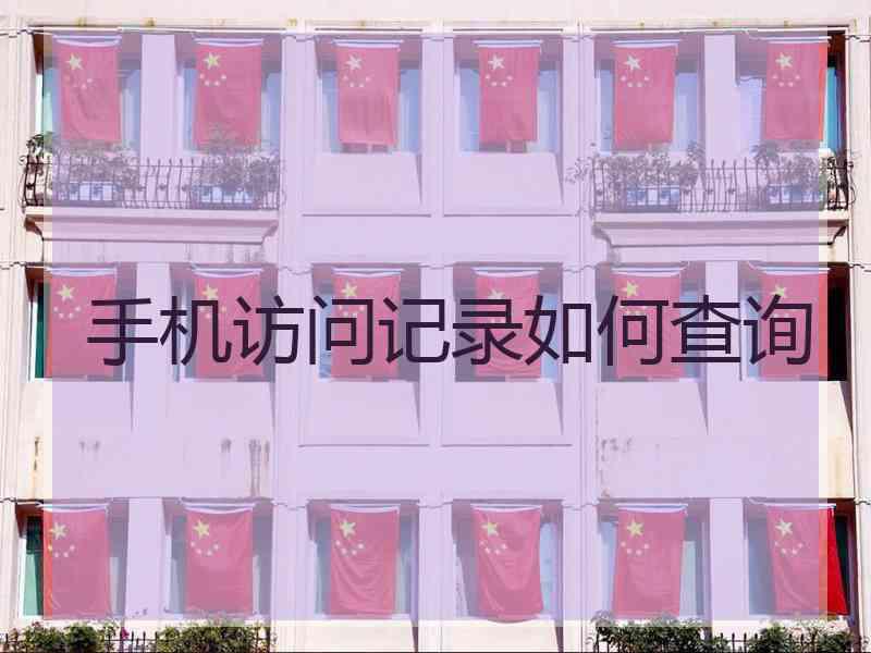 手机访问记录如何查询