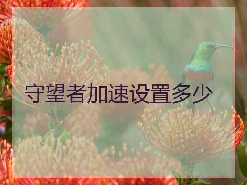 守望者加速设置多少