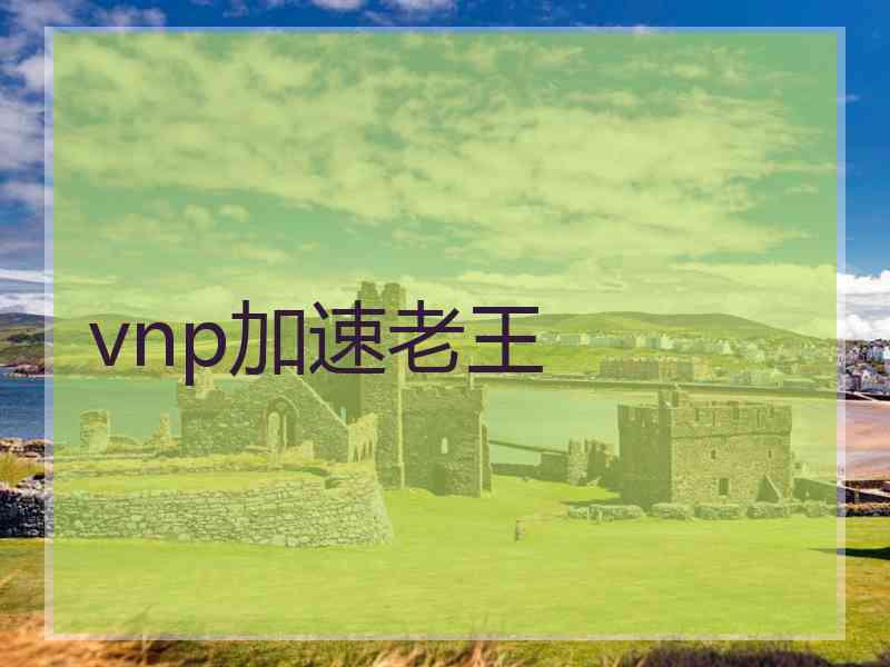 vnp加速老王