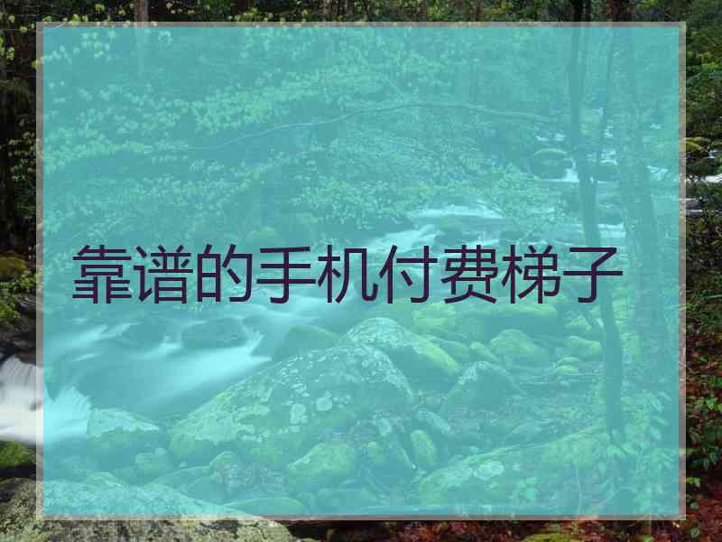 靠谱的手机付费梯子