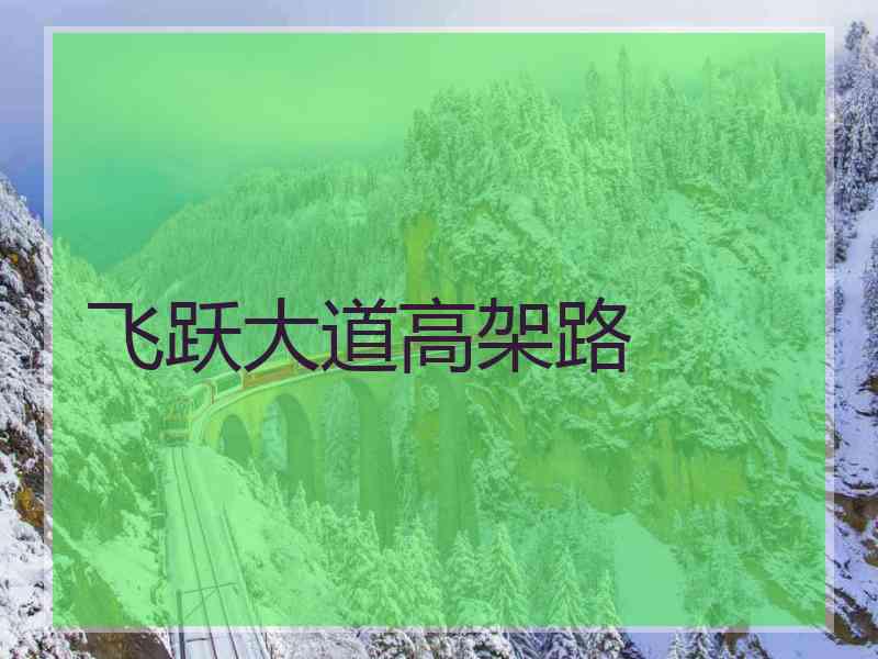 飞跃大道高架路