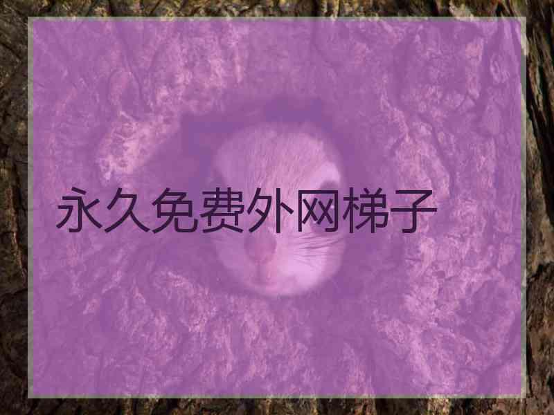 永久免费外网梯子