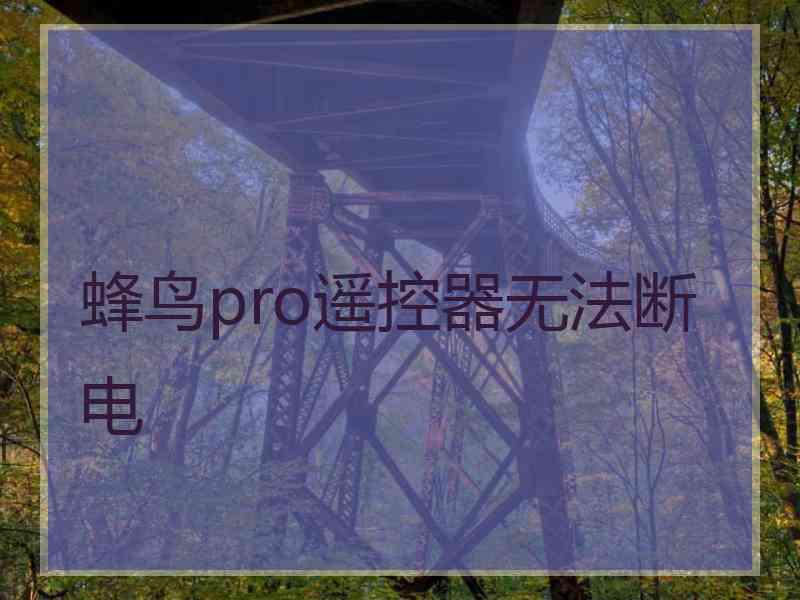 蜂鸟pro遥控器无法断电