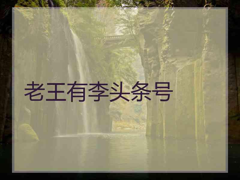 老王有李头条号