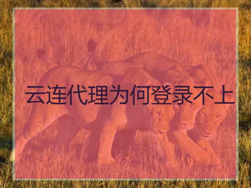 云连代理为何登录不上