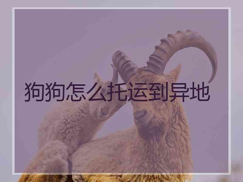 狗狗怎么托运到异地